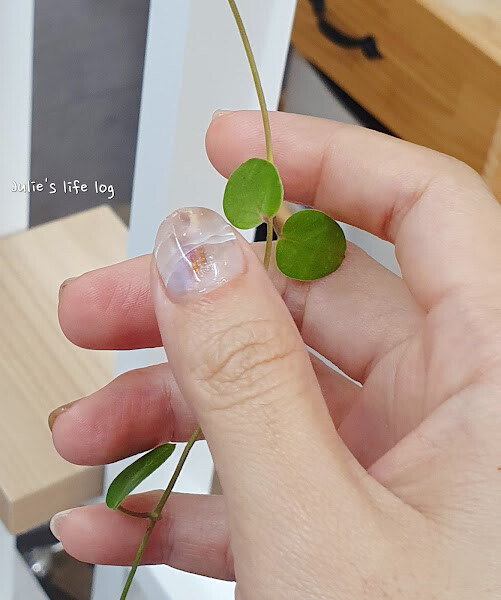 Share｜台南中西｜甲楚楚美甲沙龍 NF Art Salon — 清新透明的美甲沙龍，來做個放鬆的手足深層保養吧！