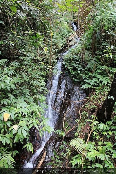 南安瀑布瓦拉米步道(18).JPG