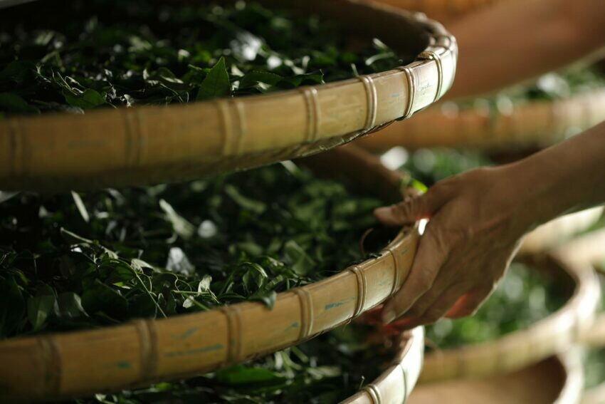 遊山茶訪、東門捷運站、永康街、東門、遊山茶訪永康店、茶坊、台北喝茶、台北茶館、茶館、茶葉、台北 下午 茶、茶室、喝茶、茶店、茶藝館、茶屋、台灣特色、台北伴手禮、台灣伴手禮、台灣名產、台北名產、伴手禮推薦、永康 美食、東門 美食、永康 街、永康街 美食、東門美食、東門 站 美食、永康美食、永康商圈