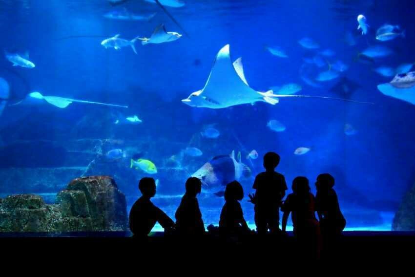 遠雄海洋公園｜夜宿水族館