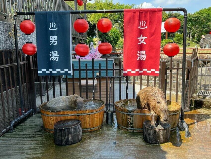 宜蘭戶外景點 宜蘭自然景點 綠舞國際觀光飯店&綠舞日式主題園區