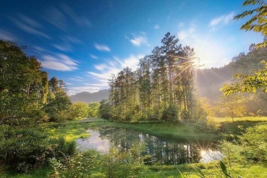 南投溪頭二日遊 溪頭森遊區