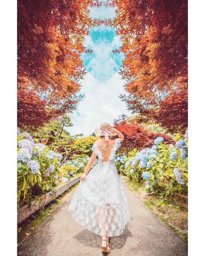 南投溪頭二日遊