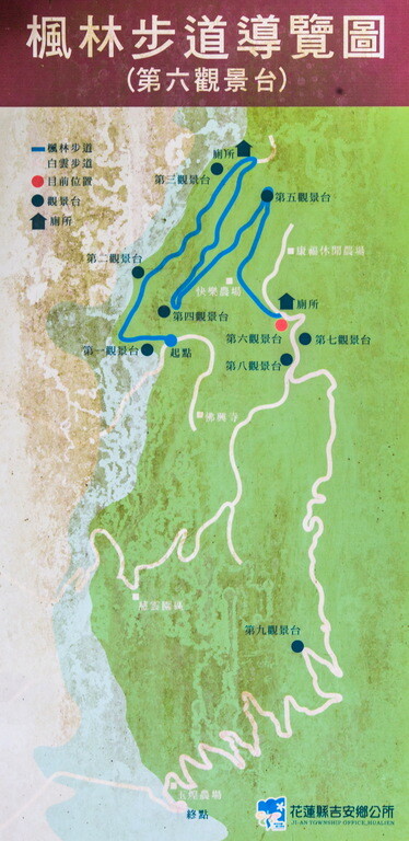 花蓮吉安 楓林步道