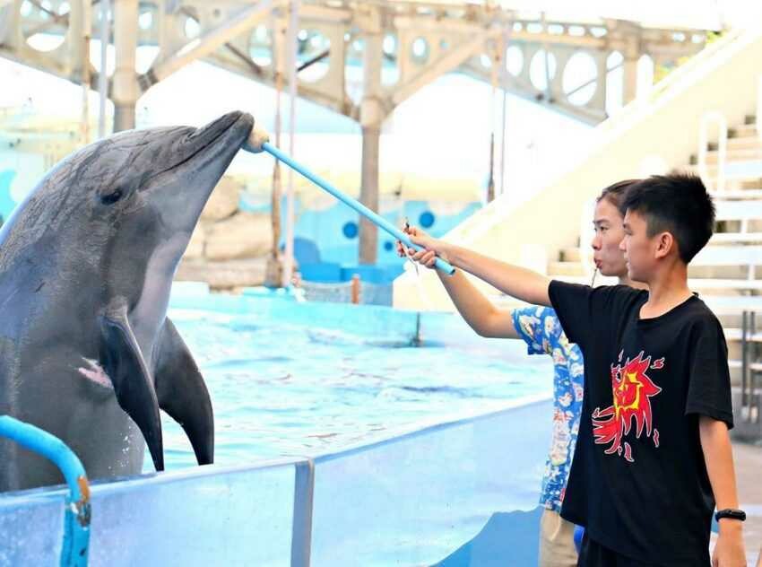 遠雄海洋公園｜海洋劇場表演秀