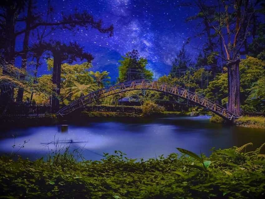 溪頭森林遊樂園