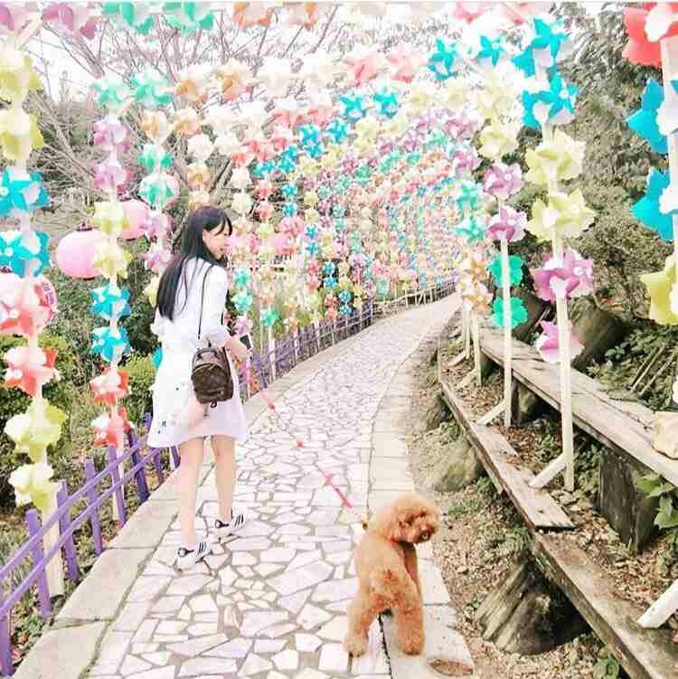 清境一日遊 | 小瑞士花園