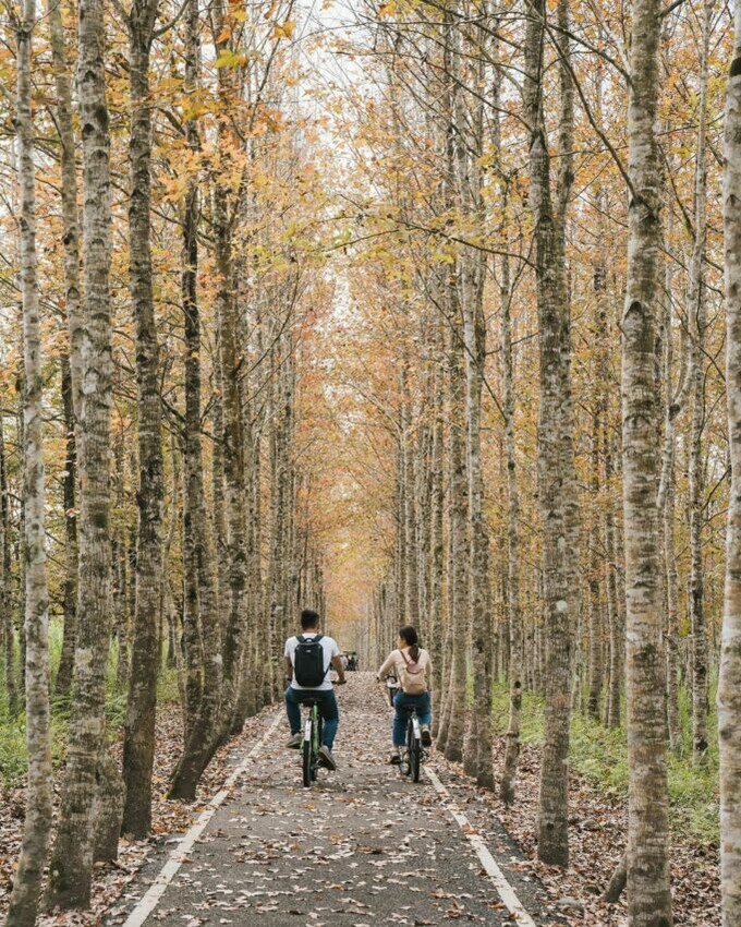 花蓮光復糖廠|光復景點, 花蓮光復, 日式, 花蓮觀光糖廠 大農大富