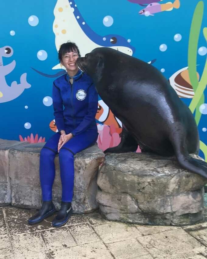 海獅劇場-海獅小學堂