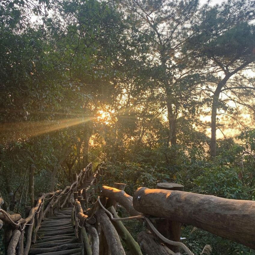 大坑風景區2號步道