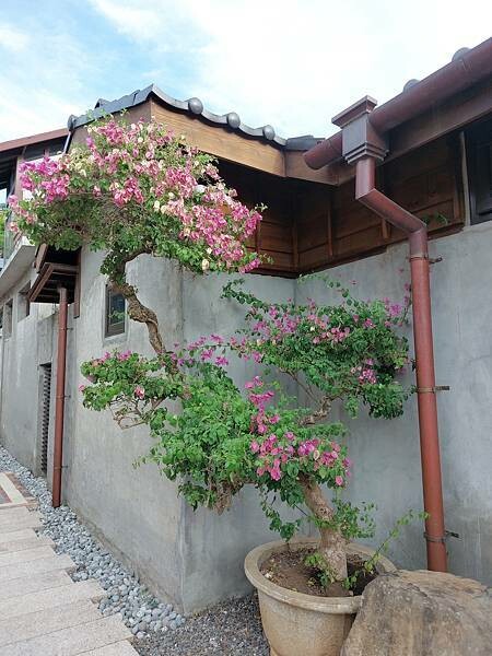 台北最新熱門景點!【榕錦時光生活園區】-原臺北刑務所官舍,整排日式建築結合多家品牌形成複合式聚落