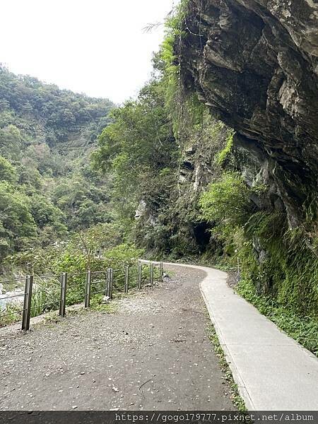 IMG_1118.JPG IMG_1118.JPG