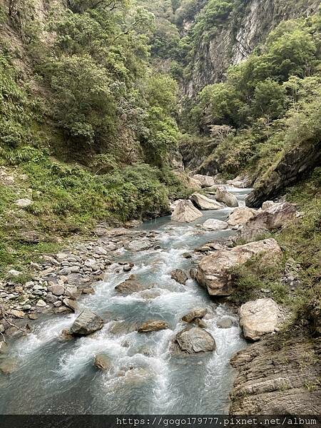 IMG_1126.JPG IMG_1126.JPG