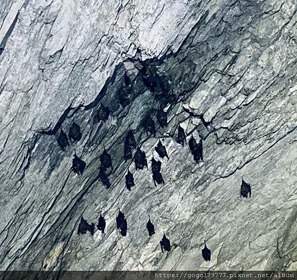 IMG_E1131.JPG IMG_E1131.JPG