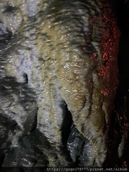 IMG_1132.JPG IMG_1132.JPG