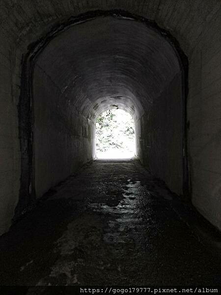 LINE_ALBUM_i 玩宜花_221120_9.jpg LINE_ALBUM_i 玩宜花_221120_9.jpg