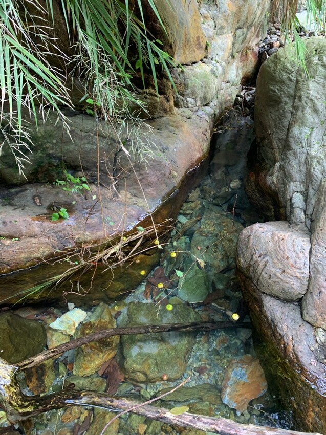 【宜蘭南澳】金岳瀑布溯溪，好山好水好風景 | 水上活動好選擇