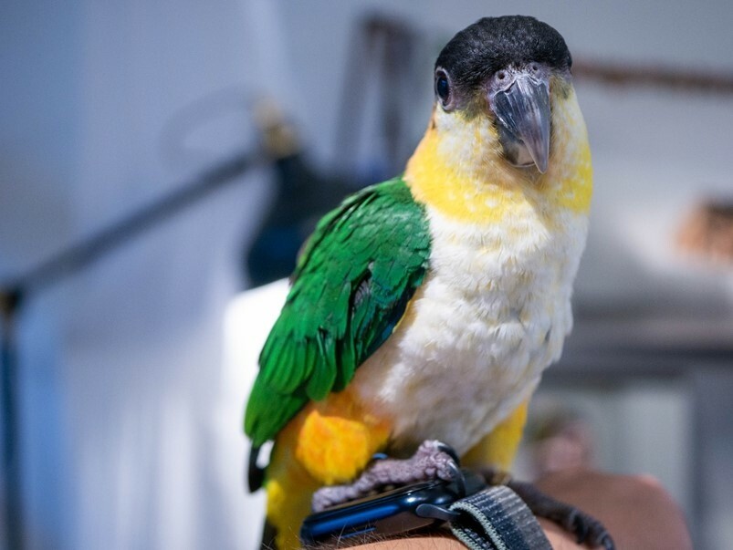 【金工】Mixgene混合基因,台北大稻程鍛敲黃銅戒指金工體驗