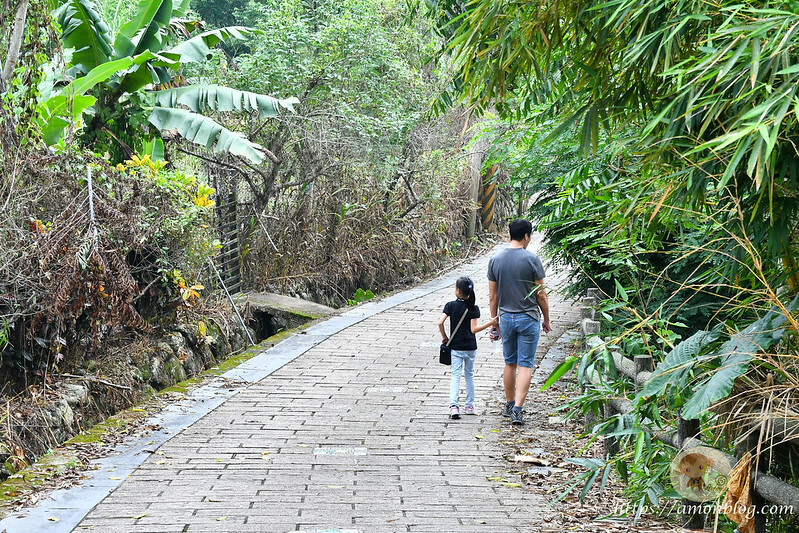 2022台灣咖啡節|雲林古坑最潮夜間咖啡節,巨無霸乖乖初登場、夜間星空咖啡市集、露營風音樂party