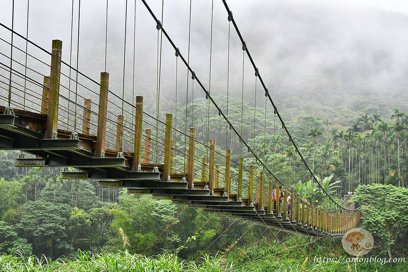 2022台灣咖啡節|雲林古坑最潮夜間咖啡節,巨無霸乖乖初登場、夜間星空咖啡市集、露營風音樂party