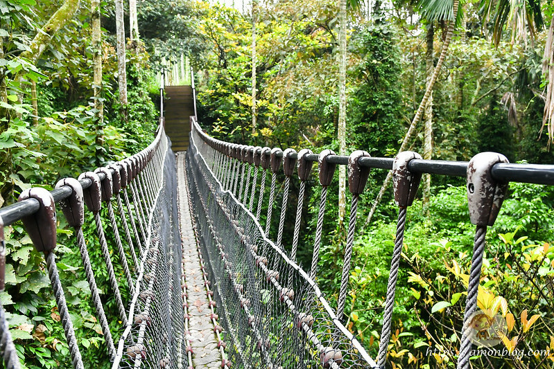 2022台灣咖啡節|雲林古坑最潮夜間咖啡節,巨無霸乖乖初登場、夜間星空咖啡市集、露營風音樂party