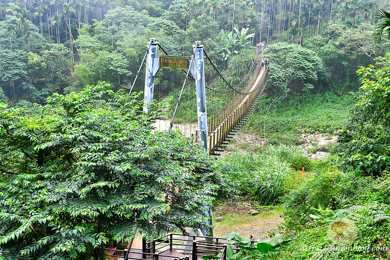 2022台灣咖啡節|雲林古坑最潮夜間咖啡節,巨無霸乖乖初登場、夜間星空咖啡市集、露營風音樂party