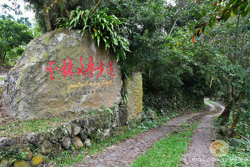 2022台灣咖啡節|雲林古坑最潮夜間咖啡節,巨無霸乖乖初登場、夜間星空咖啡市集、露營風音樂party