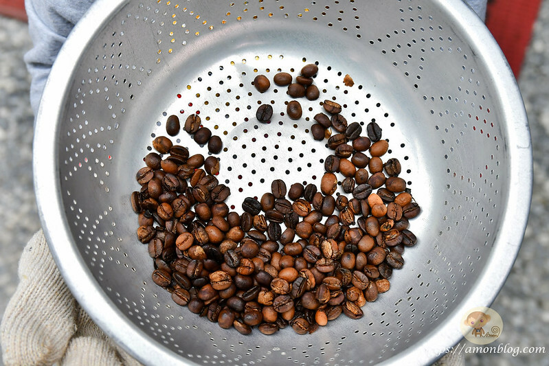 2022台灣咖啡節|雲林古坑最潮夜間咖啡節,巨無霸乖乖初登場、夜間星空咖啡市集、露營風音樂party