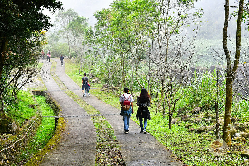 2022台灣咖啡節|雲林古坑最潮夜間咖啡節,巨無霸乖乖初登場、夜間星空咖啡市集、露營風音樂party