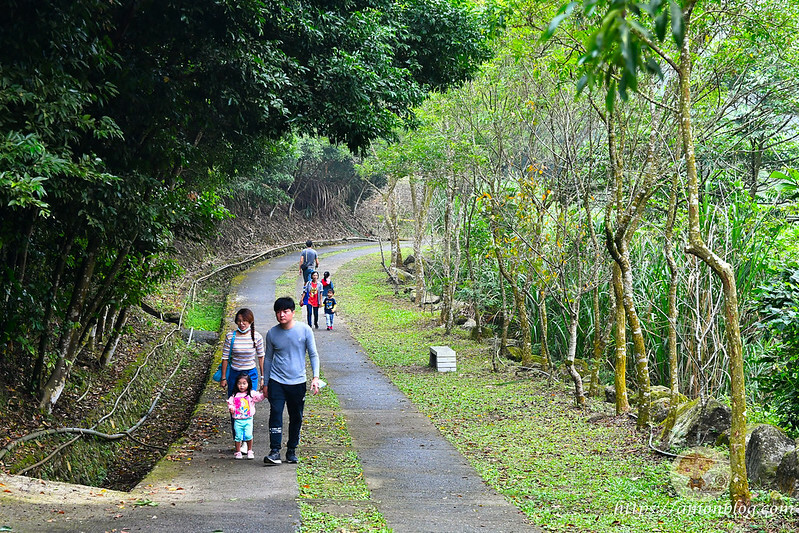 2022台灣咖啡節|雲林古坑最潮夜間咖啡節,巨無霸乖乖初登場、夜間星空咖啡市集、露營風音樂party