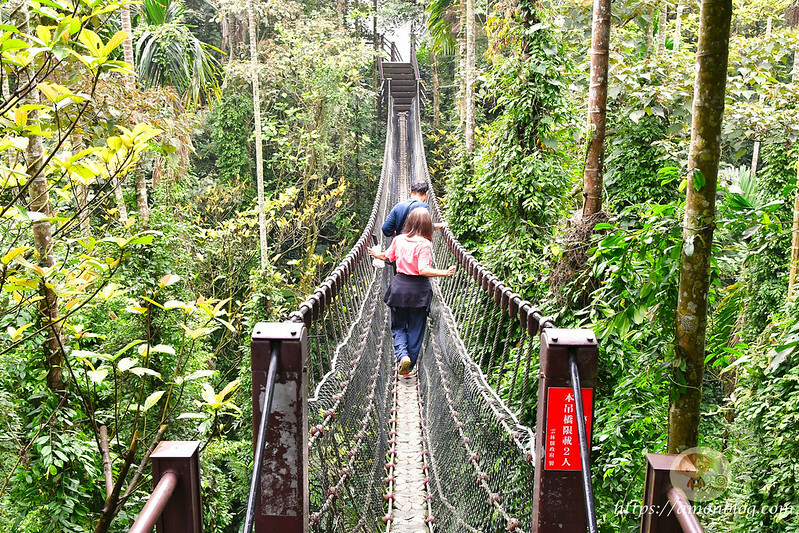 2022台灣咖啡節|雲林古坑最潮夜間咖啡節,巨無霸乖乖初登場、夜間星空咖啡市集、露營風音樂party