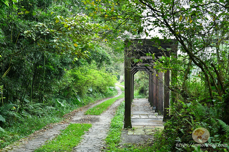 2022台灣咖啡節|雲林古坑最潮夜間咖啡節,巨無霸乖乖初登場、夜間星空咖啡市集、露營風音樂party