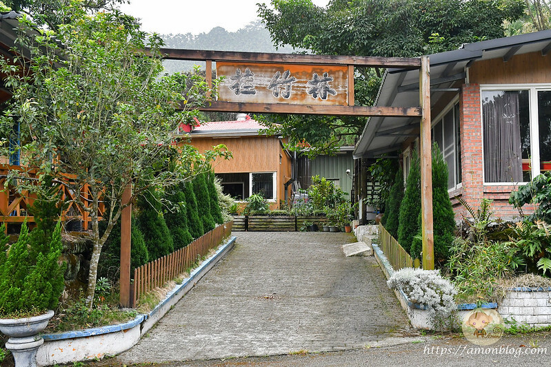 2022台灣咖啡節|雲林古坑最潮夜間咖啡節,巨無霸乖乖初登場、夜間星空咖啡市集、露營風音樂party