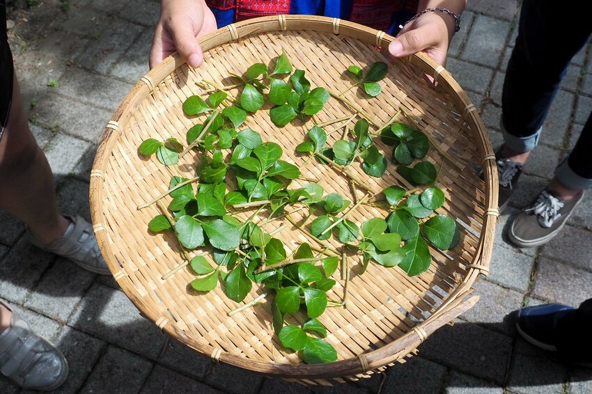 【屏東牡丹鄉景點】♥屏東高士部落♥翻山越嶺見證幸福-體驗紅寶石部落的傳統婚禮