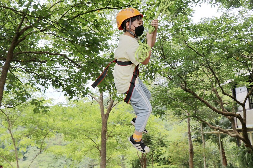 桃園復興區一日遊二日遊行程.親子旅遊景點/美食/住宿總整理.復興三好帶你暢遊桃園復興區