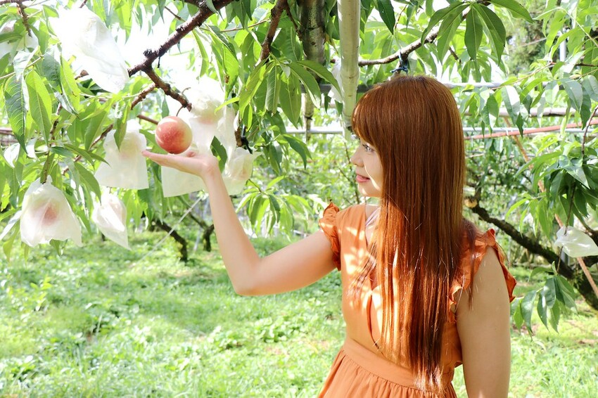 桃園復興區一日遊二日遊行程.親子旅遊景點/美食/住宿總整理.復興三好帶你暢遊桃園復興區