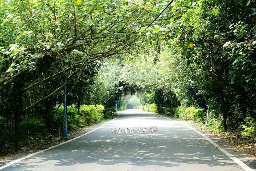 桃園復興區一日遊二日遊行程.親子旅遊景點/美食/住宿總整理.復興三好帶你暢遊桃園復興區