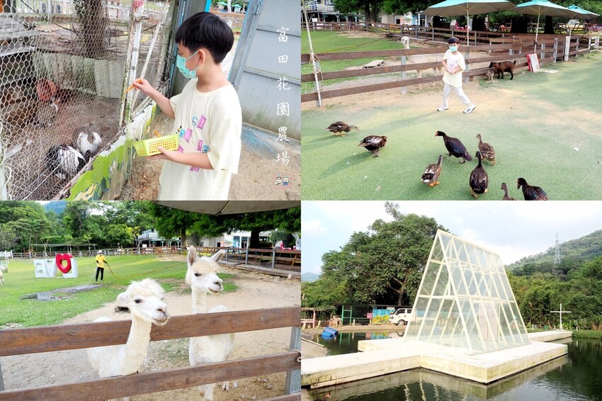 桃園復興區一日遊二日遊行程.親子旅遊景點/美食/住宿總整理.復興三好帶你暢遊桃園復興區