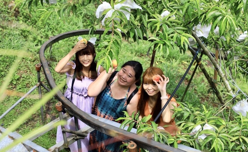 桃園復興區一日遊二日遊行程.親子旅遊景點/美食/住宿總整理.復興三好帶你暢遊桃園復興區