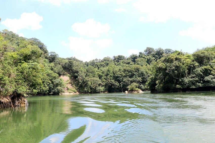 桃園復興區一日遊二日遊行程.親子旅遊景點/美食/住宿總整理.復興三好帶你暢遊桃園復興區