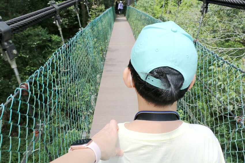 桃園復興區一日遊二日遊行程.親子旅遊景點/美食/住宿總整理.復興三好帶你暢遊桃園復興區