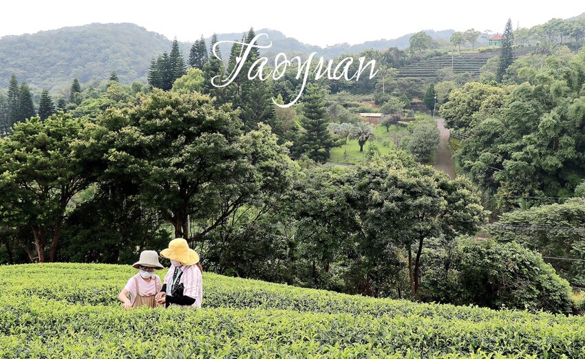 桃園復興區一日遊二日遊行程.親子旅遊景點/美食/住宿總整理.復興三好帶你暢遊桃園復興區