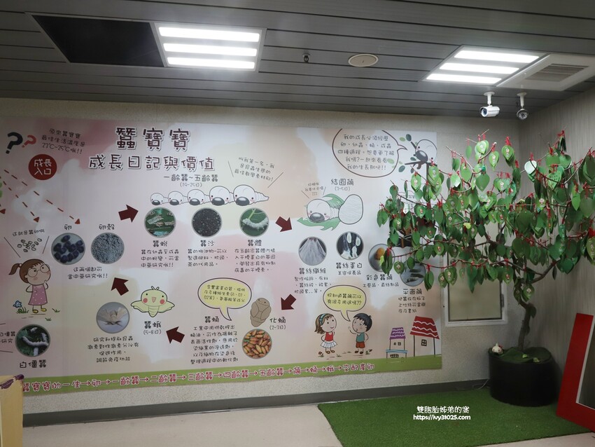 推薦高雄旅遊景點必買必逛 – 詩舒曼美學館 / 3D藝術彩繪天台