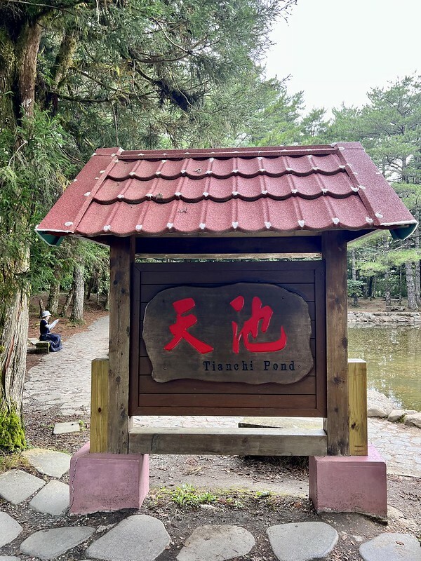 【台灣,台中市,和平區】海拔2614公尺的「福壽山農場」天池與達觀亭,滿滿能量、芬多精,大口呼吸,好暢快