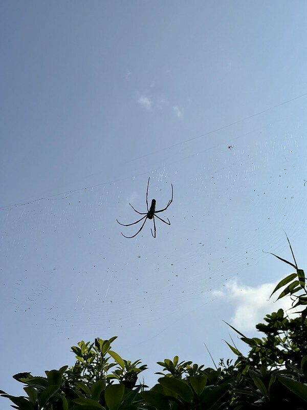 【台灣，基隆市，中正區】看海，看山都好美的忘憂谷（忘幽谷）；有種一秒鐘到日本禮文島的錯覺！！（基隆景