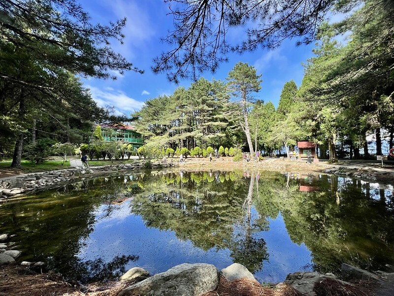 【台灣,台中市,和平區】海拔2614公尺的「福壽山農場」天池與達觀亭,滿滿能量、芬多精,大口呼吸,好暢快