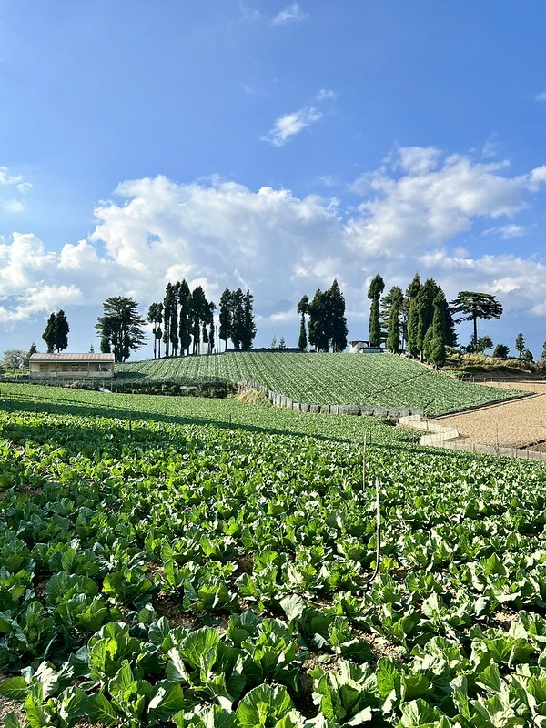 【台灣，台中市，和平區】遠的要命的農場～福壽山農場FushoushanFarm。（台中旅遊/台中景點/台中購物節）