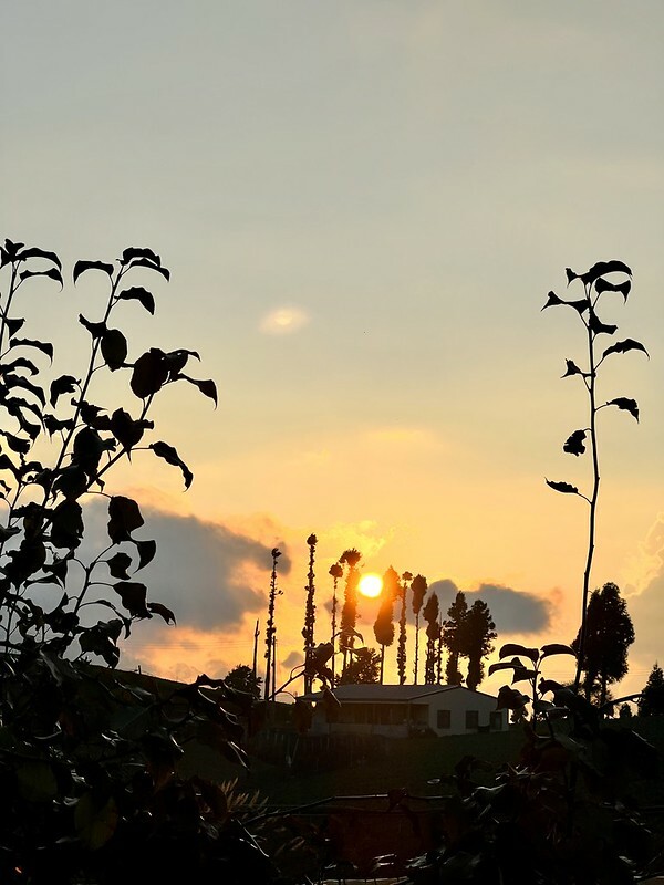 【台灣，台中市，和平區】遠的要命的農場～福壽山農場FushoushanFarm。（台中旅遊/台中景點/台中購物節）