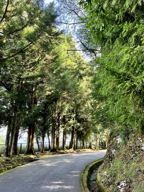 【台灣,台中市,和平區】海拔2614公尺的「福壽山農場」天池與達觀亭,滿滿能量、芬多精,大口呼吸,好暢快