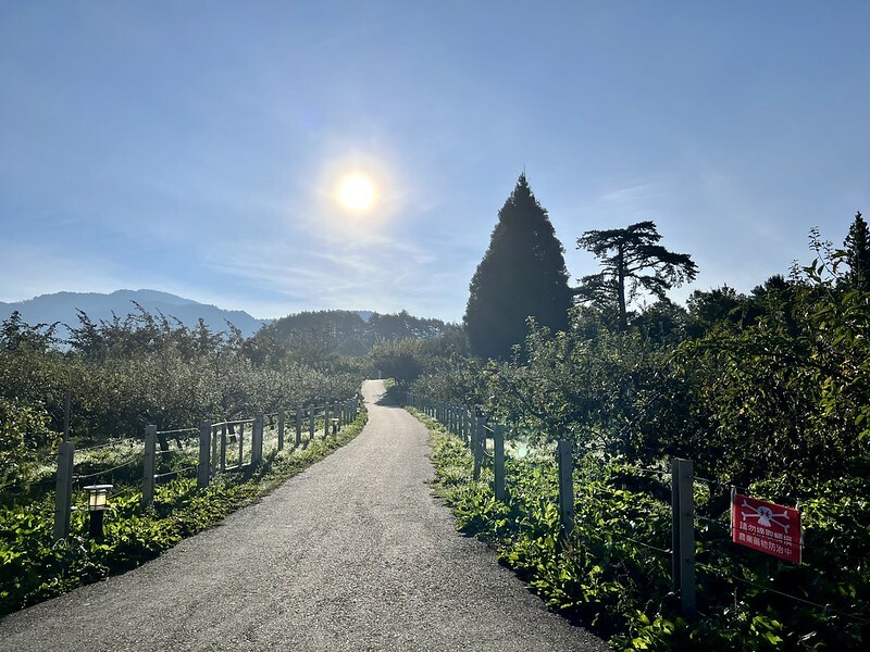 【台灣，台中市，和平區】遠的要命的農場～福壽山農場FushoushanFarm。（台中旅遊/台中景點/台中購物節）